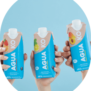 KO Agua Saborizadas 500ml